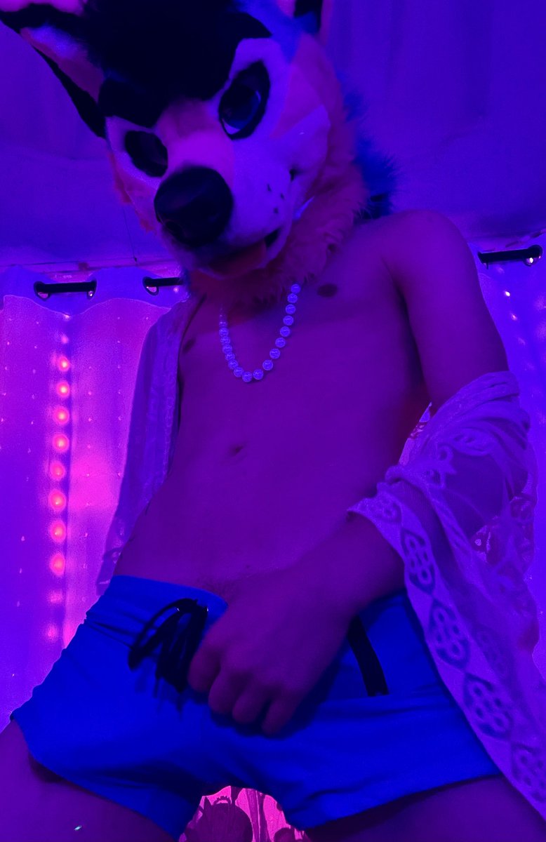 Hope you have an un-fur-getable Valentines Day 💕✨❤️😈