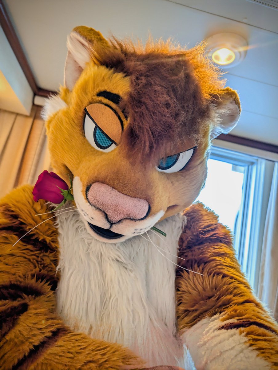 ~TigonCat~ tweet media