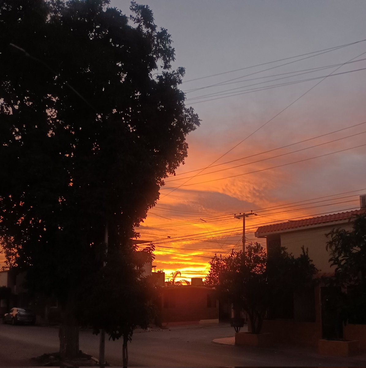 Me enamora 😍 #TeCielo