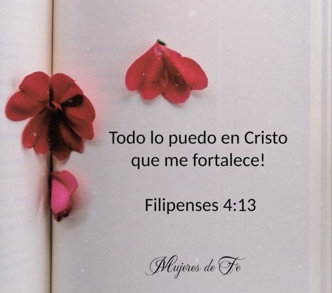 Lorena Castillo (@lcg1un) on Twitter photo 