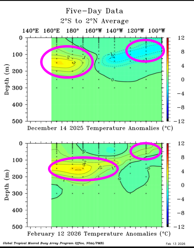Dr. Levi Cowan tweet media