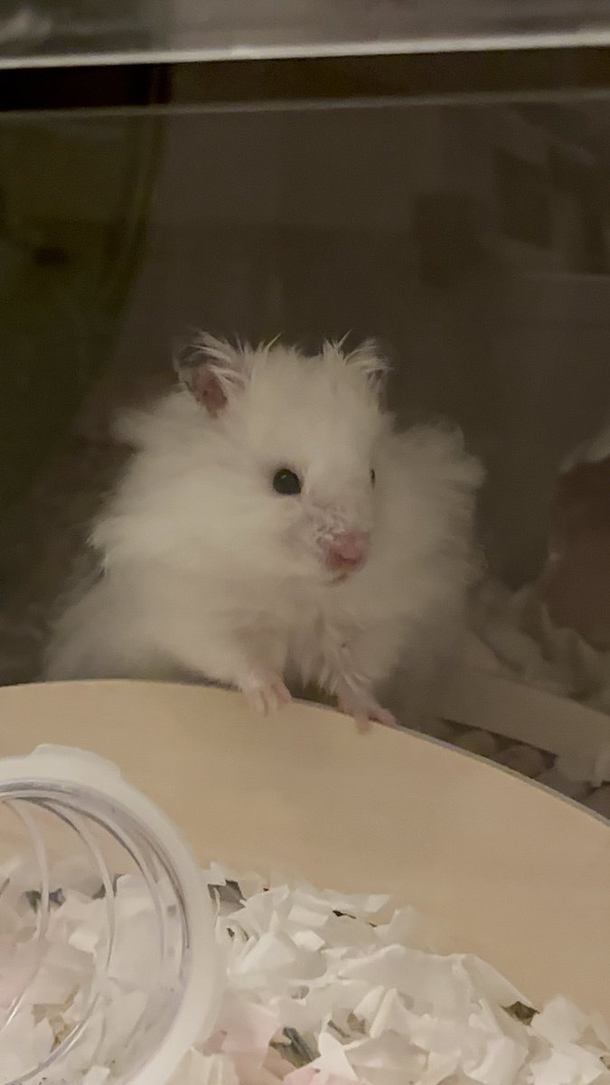 Slept for almost 8-hour straight last night🥳 (Haven't got to do that for quite some time).