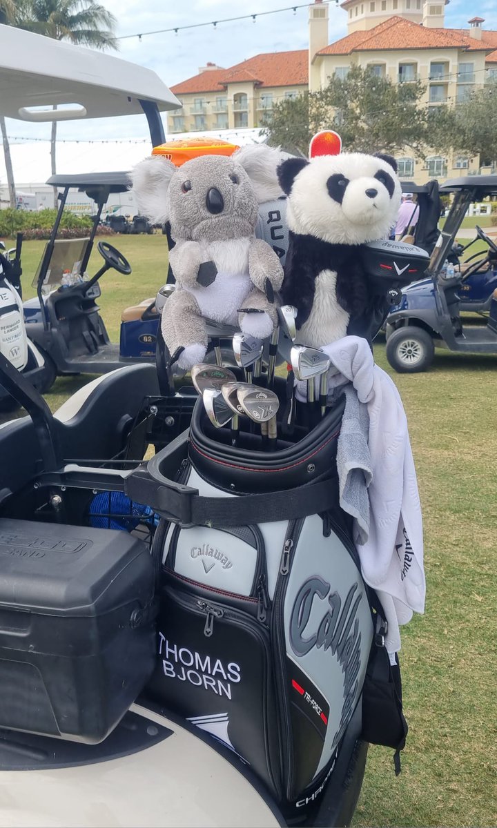 ted_koala's tweet photo. JUST ARRIVED @ChubbClassic ..

Met a new friend hanging out @thomasbjorngolf @CallawayGolf bag 👍

Thomas posts 1st day 77 but a brilliant 18th hole par from 'nowhere' &amp; after taking 3rd shot penalty drop.

Wishing my new friend a super low 2nd day @TiburonNaples 

🇦🇺 @ted_koala https://t.co/SmLOSflvpg