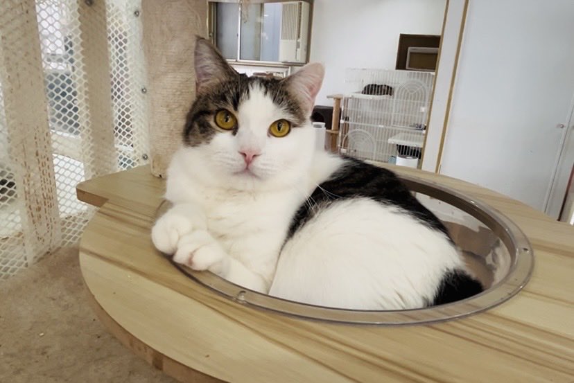 土曜日 〉 おはようございます。 ❤︎Valentine day❤︎ですね🍫 当店