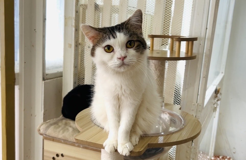 土曜日 〉 おはようございます。 ❤︎Valentine day❤︎ですね🍫 当店