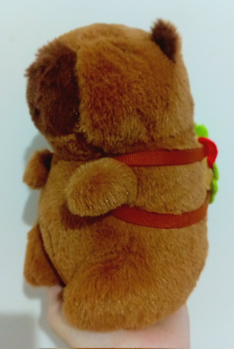 CatCharlie_OFC's tweet photo. silly capybara with the burber backpack!!!1!

#capybara #burber #burger #plushie #plush #cute #silly https://t.co/JliGvj3c5M