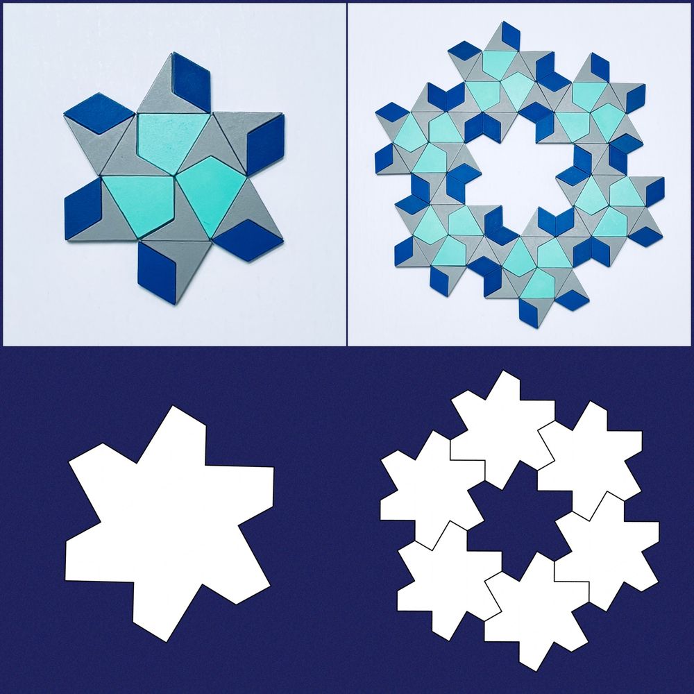 David Petro tweet media