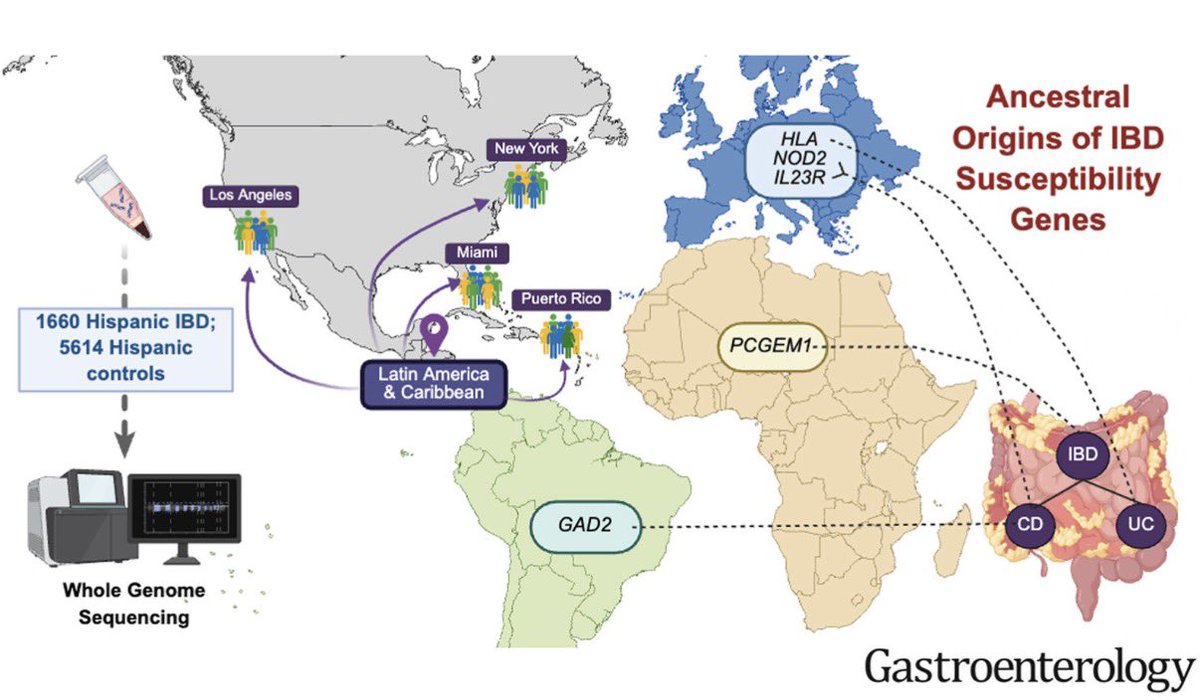 Dr Dermot McGovern tweet media