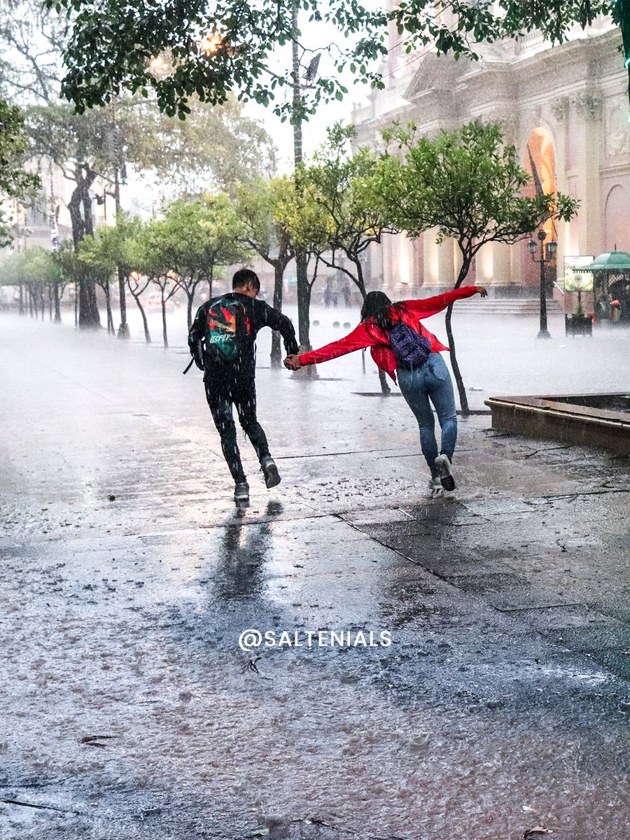 saltenials's tweet image. 
