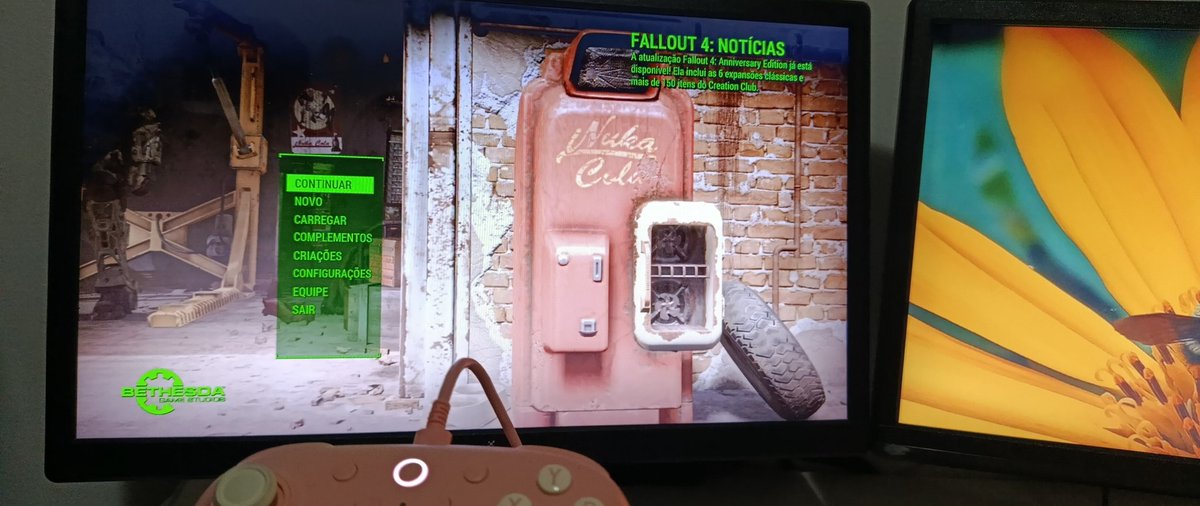 Aceitariam jogar comigo um falloutizinho?