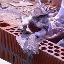 railyrex's tweet photo. @elconde_nad0 Esta expuesto a más accidentes laborales que alguien en una oficina, así que depende del laburo, si un albañil gana más que uno, es porque ha tenido años o quizás décadas de experiencia en el laburo. https://t.co/CdQNz7FENb