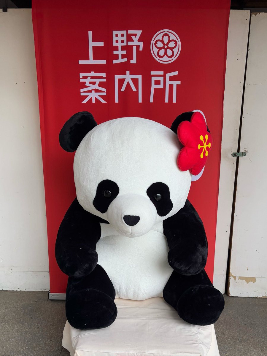 在庫情報】ご好評につき、文京梅まつりの #上野案内所 ブースで販売し