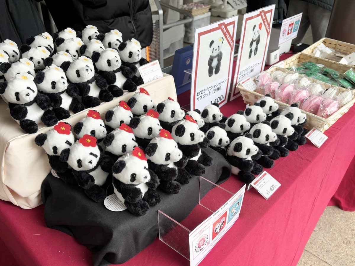 在庫情報】ご好評につき、文京梅まつりの #上野案内所 ブースで販売し