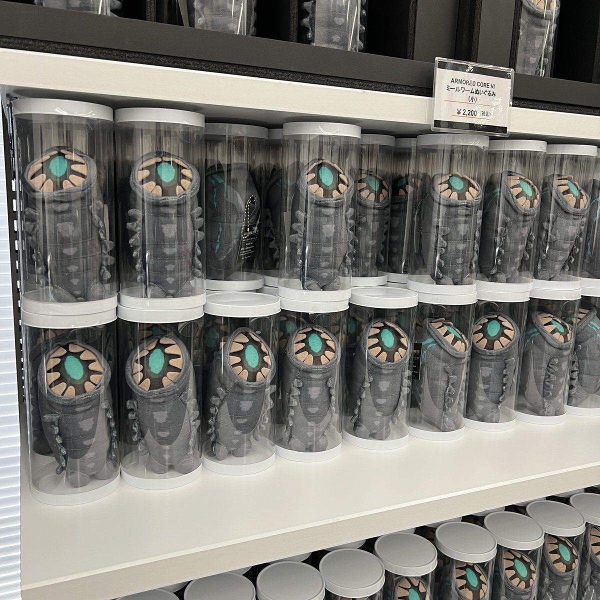 ₍₍ (ง* ॑꒳ ॑*)ว ⁾⁾ミールワームちゃん🎵
ミールワームちゃ…

ひぇ…(；ﾟДﾟ)

なんだこの展示(褒め言葉)