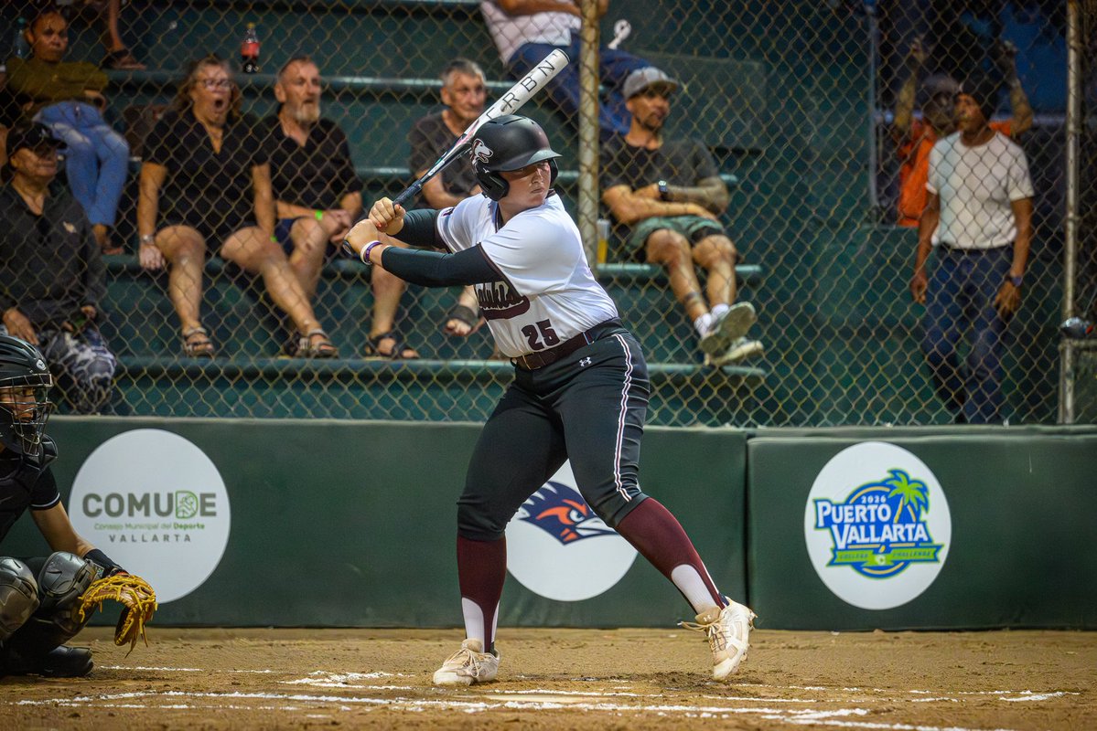 Saluki Softball tweet media