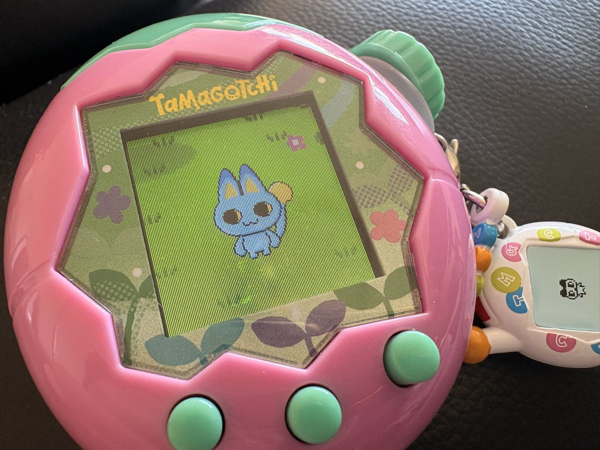 青色みゃおっちと生きていく……( ˘ω˘ ) ！！！