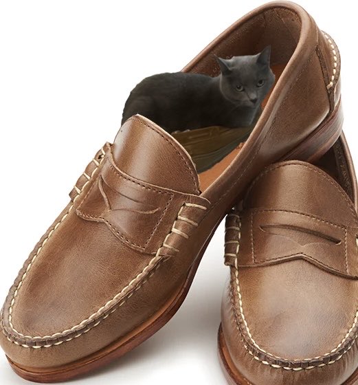 Tate Hunter tweet media