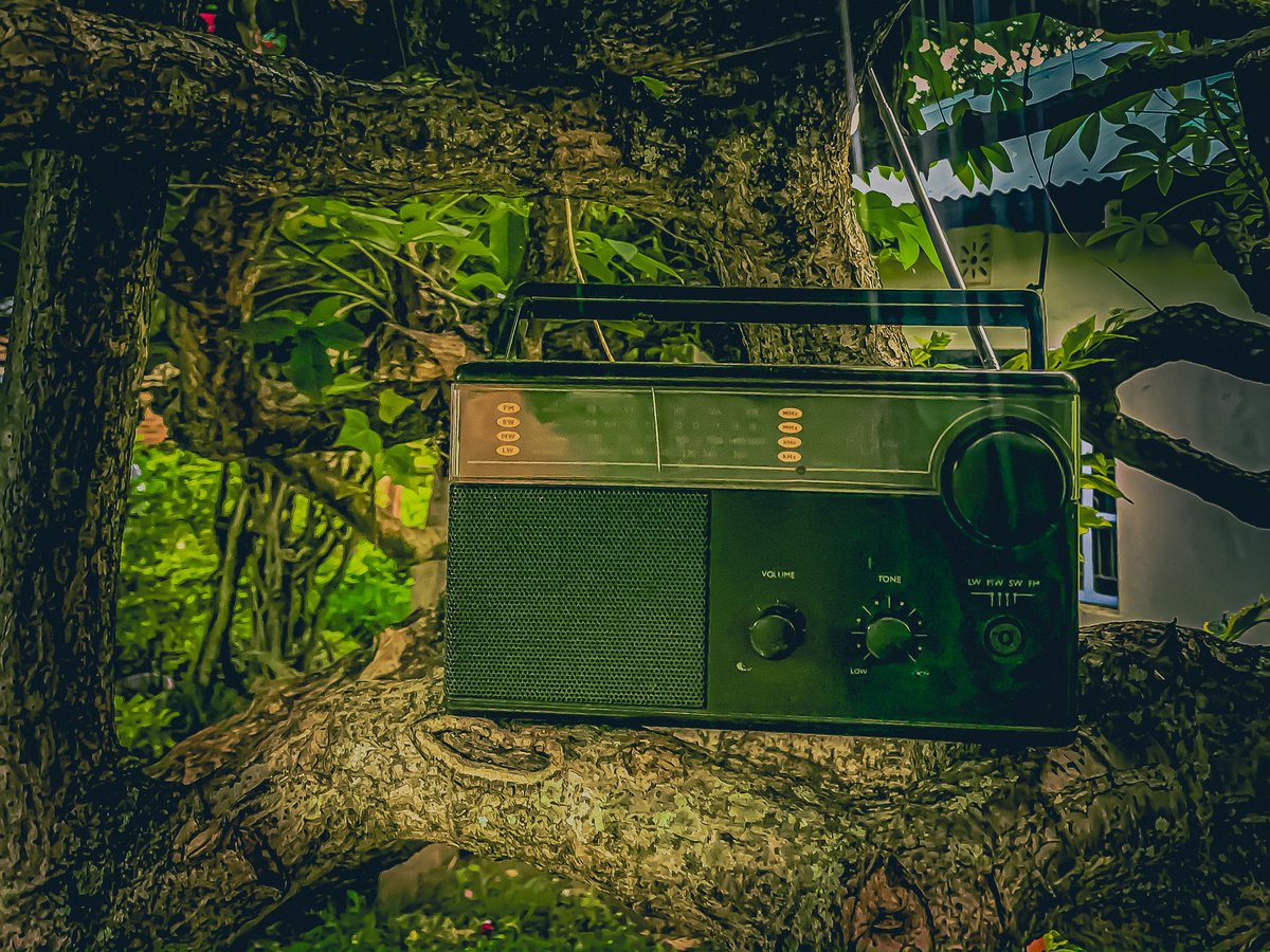 ✨MAY✨ tweet media