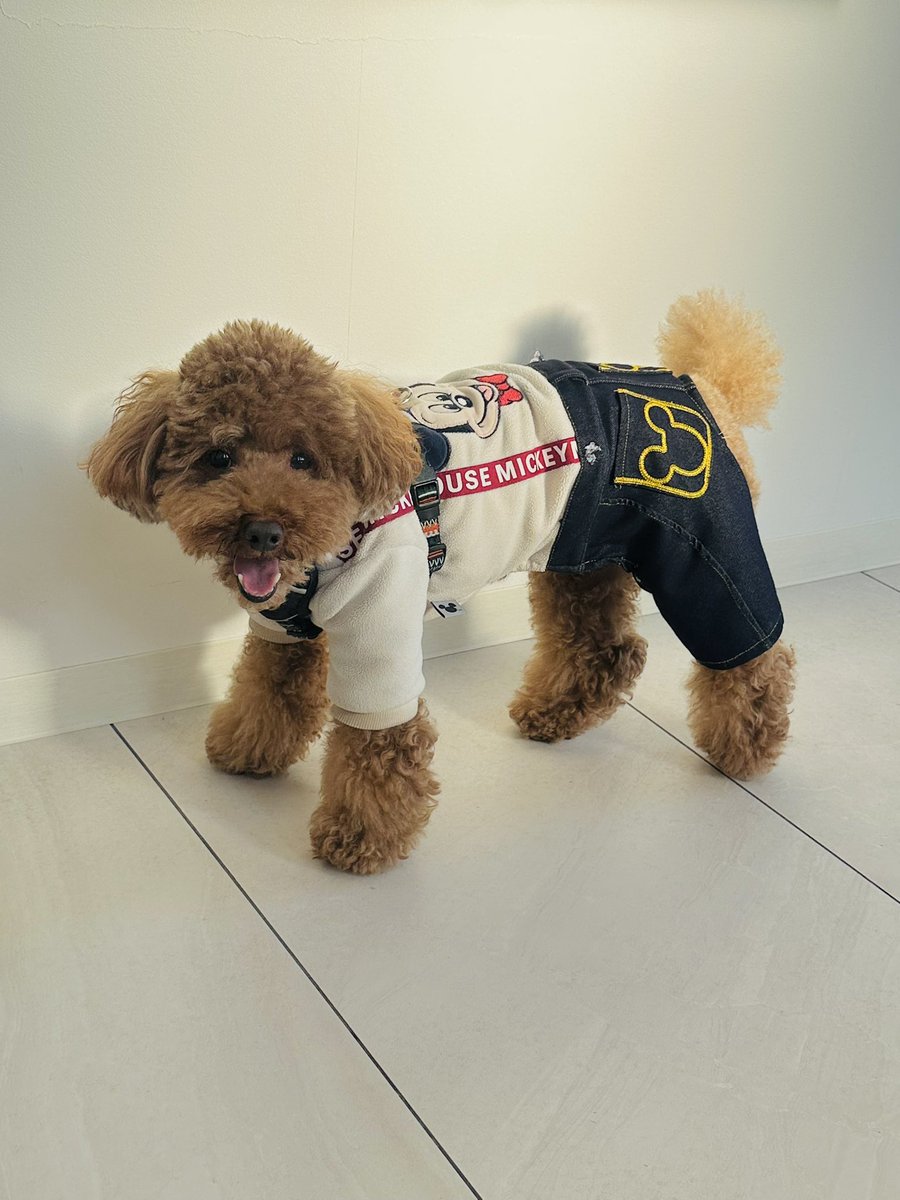 ゆぅ～まさやん (@oUZuCtSRvdIR7l3) / Posts / X