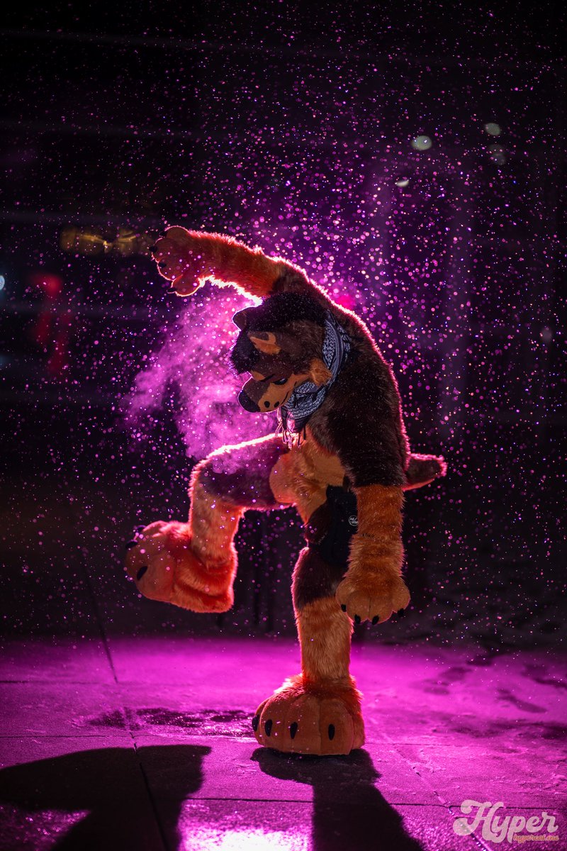 Sleepy K9 @ LOST IN THE USA ? tweet media