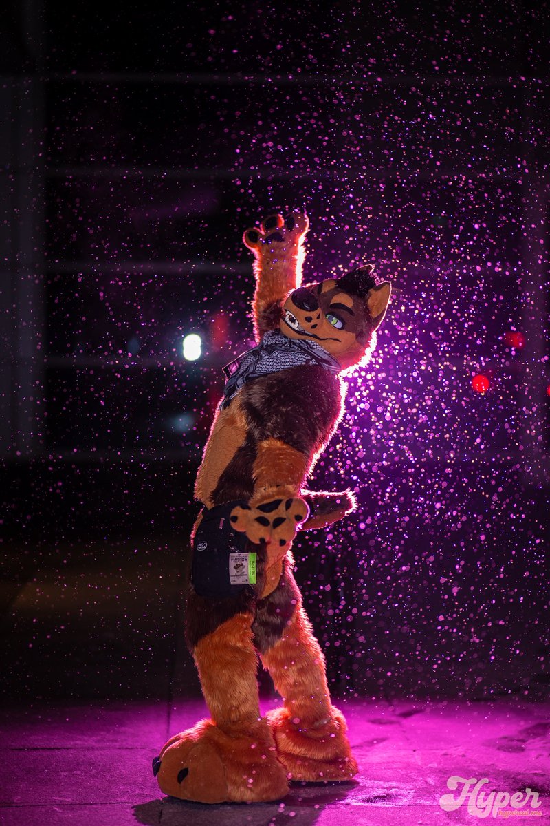 Sleepy K9 @ LOST IN THE USA ? tweet media