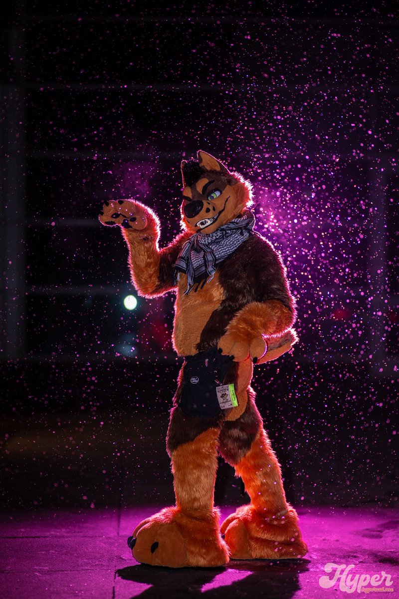 Sleepy K9 @ LOST IN THE USA ? tweet media