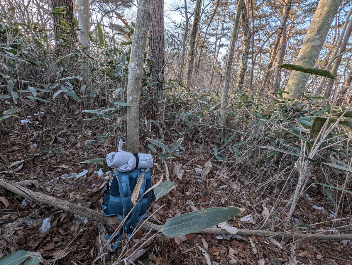 ぴろりん＠JQ7CPP (@piroriiiiiin) / Posts / X