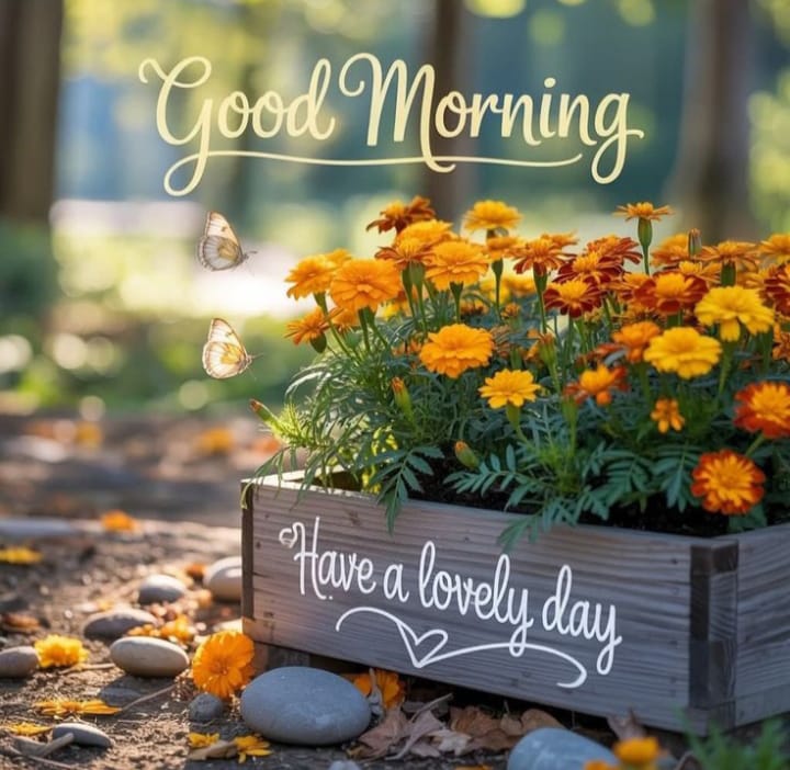 Good morning x fem 

Have a nice day 😊