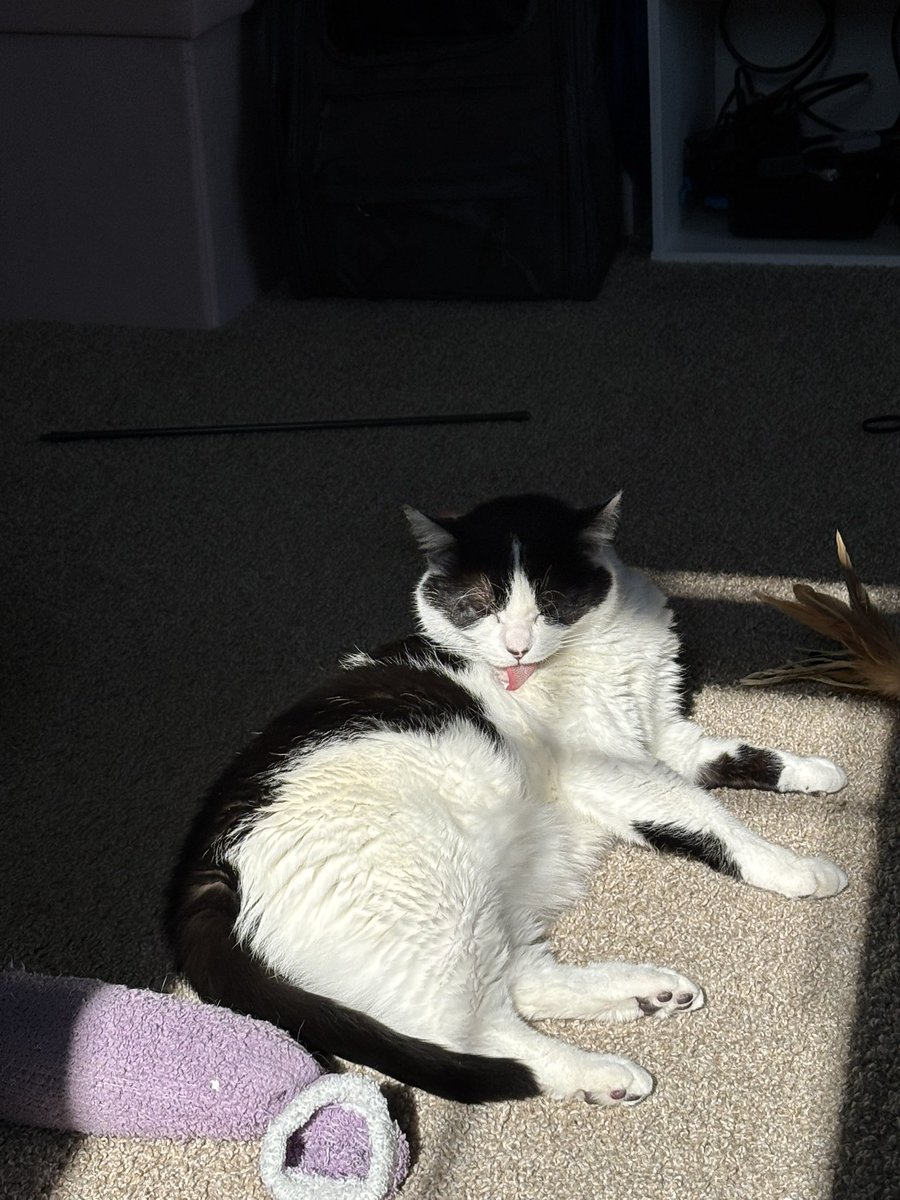 Gay and lonely is a Friday and music video night with my cat (who’s asleep)