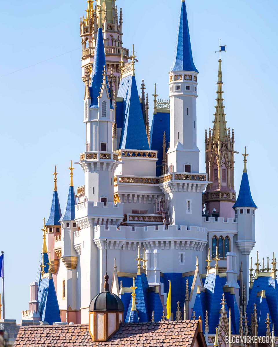 ScottGustin's tweet image. Wow. This project is moving quickly, and it looks freaking fantastic.