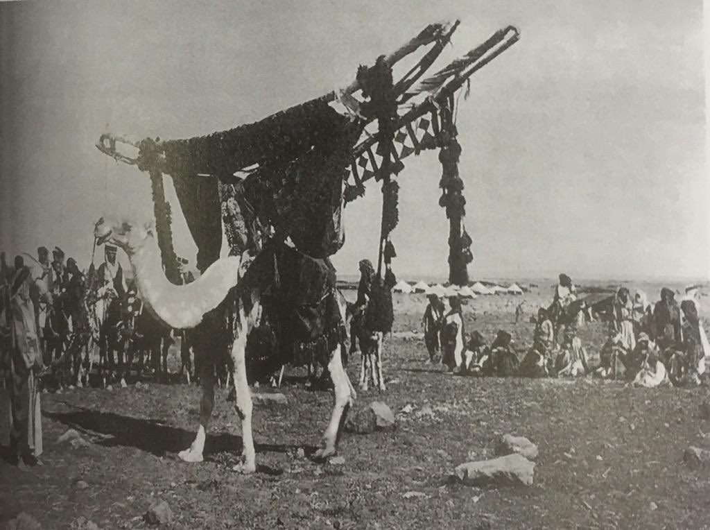 الوائلية هجر🇸🇦🕊️ tweet media