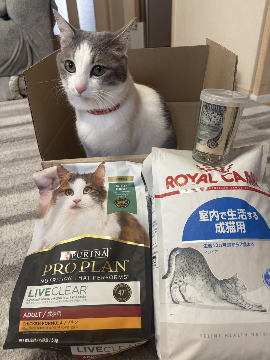 ご飯買ってもらったにゃ
補給は干し芋