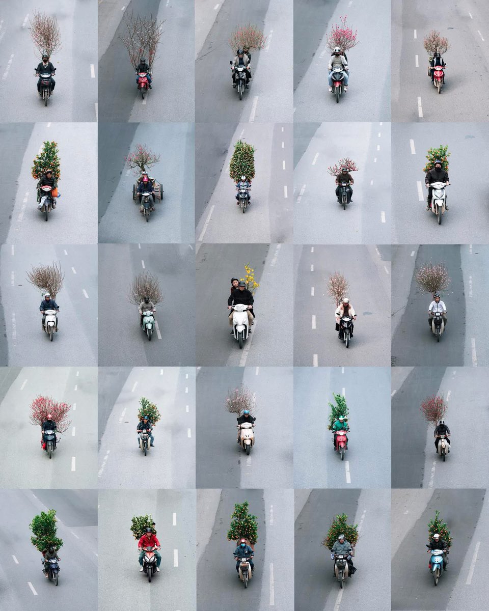 ベトナムのテトは「連れて帰ってくれる」もの… 🌸
ベトナム人それぞれの、さまざまなテトの買い物風景や飾り付けを集めた一枚。
「南の春を象徴するのはホアマイ、
北の春の魂はホアダオ。」
中部では、きんかんや菊の花を飾ることが多いです。