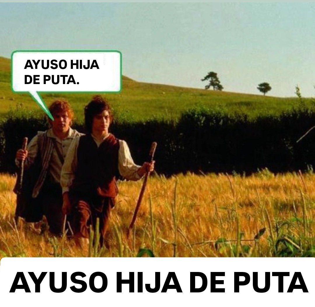 Camarada Volodimir 🇪🇺🤝🇨🇳 (@oriolanochill) on Twitter photo 