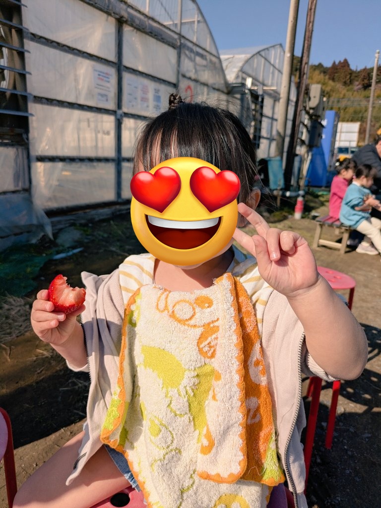 毎年恒例〜🍓🍓🍓
幸せなやつ🩷🩷🩷