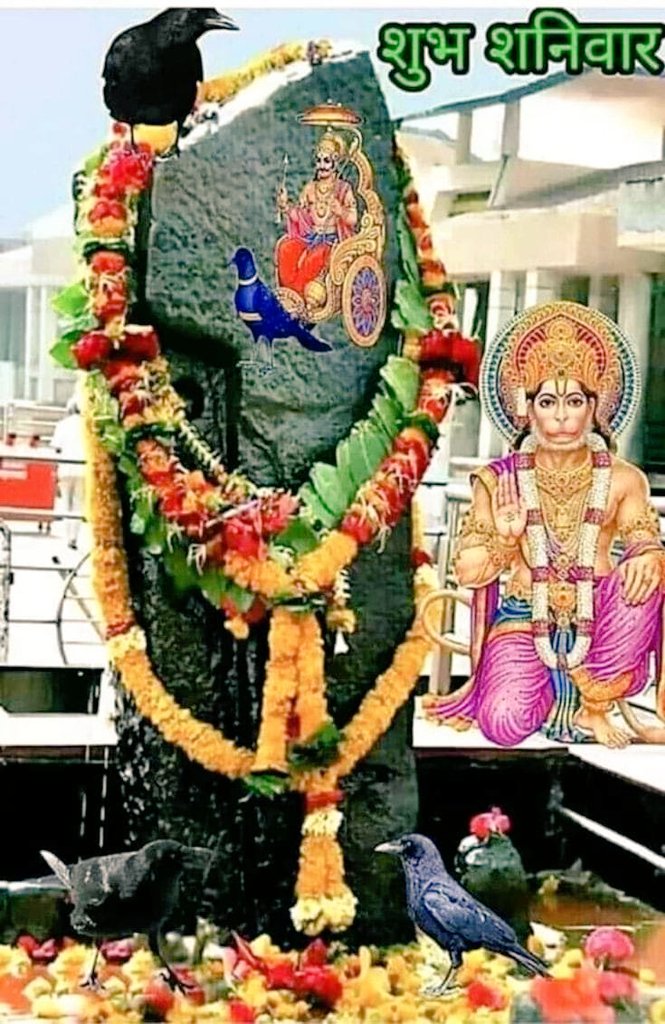 ॐ नमो हनुमते रुद्रावताराय सर्वशत्रुसंहारणाय। 
सर्वरोग हराय सर्ववशीकरणाय रामदूताय स्वाहा॥
#जय_बजरंगबली🙏🚩

सुर्यपुत्रो दीर्घदेहो विशालाक्ष: शिवप्रिय: ।
दीर्घचार: प्रसन्नात्मा पीडां हरतु मे शनि: ।
#ॐ_प्रां_प्रीं_प्रों_स_शनैश्चराय_नमः 

#शुभ_शनिवार 🙏🚩
#प्रभात_वंदन 💐