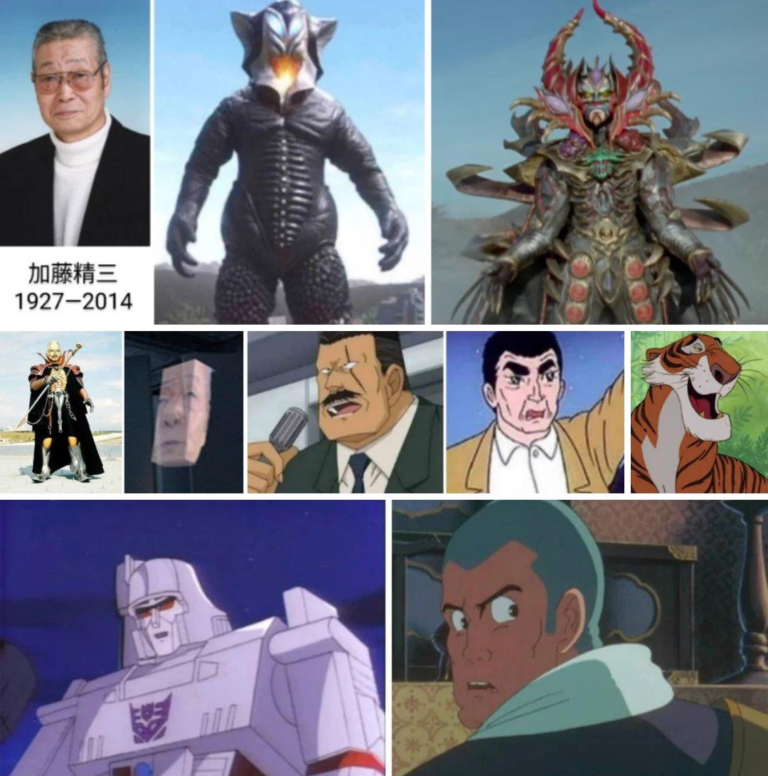 加藤精三の活動歴およびメディア掲載記録