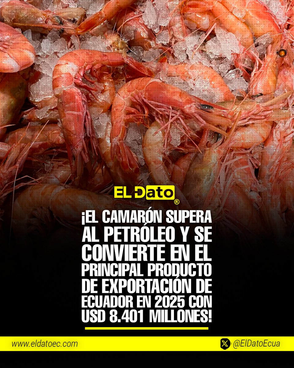 ElDatoEcua's tweet photo. #Urgente ¡El camarón supera al petróleo y se convierte en el principal producto de exportación de Ecuador en 2025 con USD 8.401 millones!

En 2025, las exportaciones de camarón ecuatoriano alcanzaron USD 8.401 millones, consolidándose como el principal producto de exportación del país y superando al petróleo por primera vez en la historia reciente.

El sector camaronero registró un crecimiento del 20 %, mientras que las exportaciones petroleras descendieron a USD 6.985 millones. Este cambio marca un hito en la estructura comercial del Ecuador y evidencia el dinamismo del sector no petrolero.

En conjunto, las exportaciones no petroleras sumaron USD 29.402 millones en 2025, reflejando un auge sostenido y un nuevo rumbo en la matriz exportadora nacional.

#ElDato #Política #Ecuador #Gobierno #Comercio