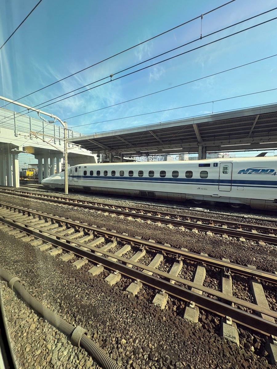 キンタロース tweet media