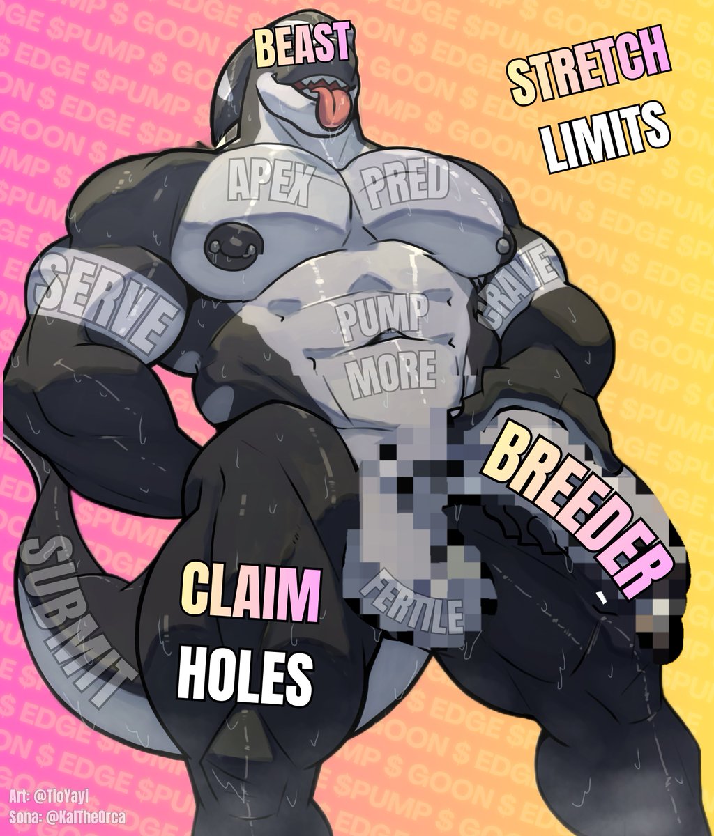 Kal The Orca 🌊 tweet media