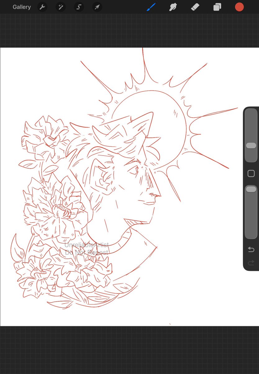 Carnations 💐☀️
#SilcoVDay26