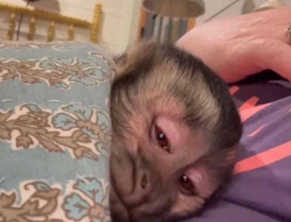 yo y las que somos re sensibles