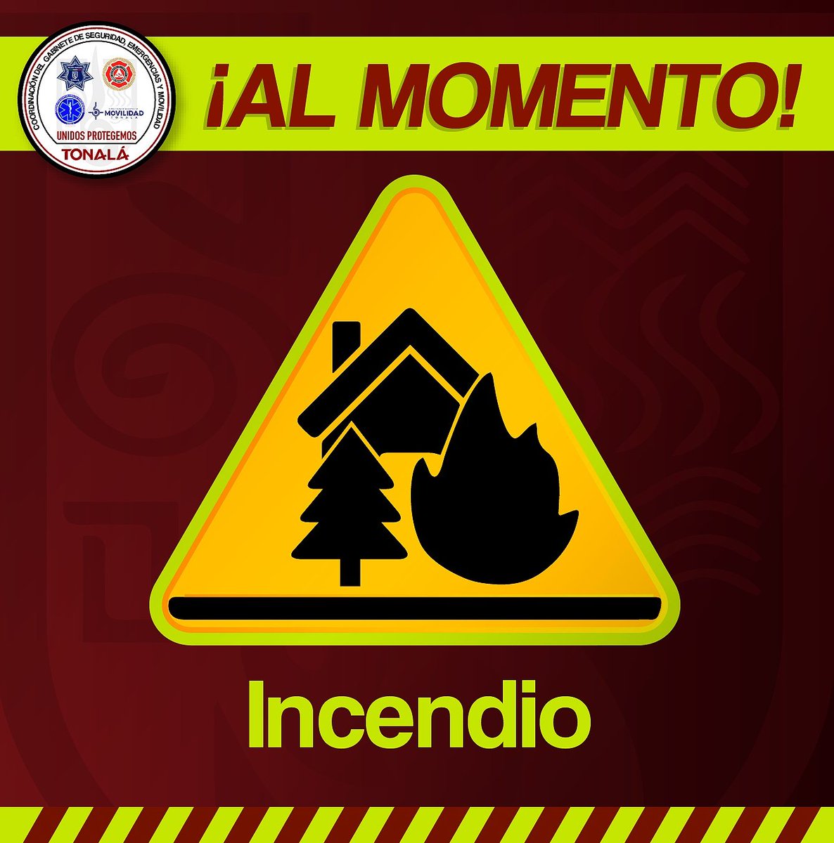 #AlMomento #PolicíaPreventiva #ProtecciónCivilyBomberos atienden reporte de incendio en el cruce de Javier Mina y Av. Tonalá en la colonia Tonalá Centro.

Tome vías Alternas y permita el paso a unidades de emergencia.