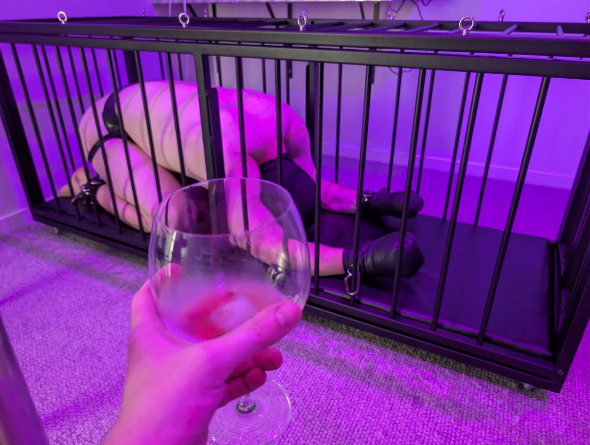 Pup Cipher tweet media