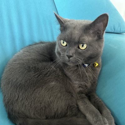 akko_imunida's tweet photo. #新しいプロフィール画像 https://t.co/0UWQKtoY8a