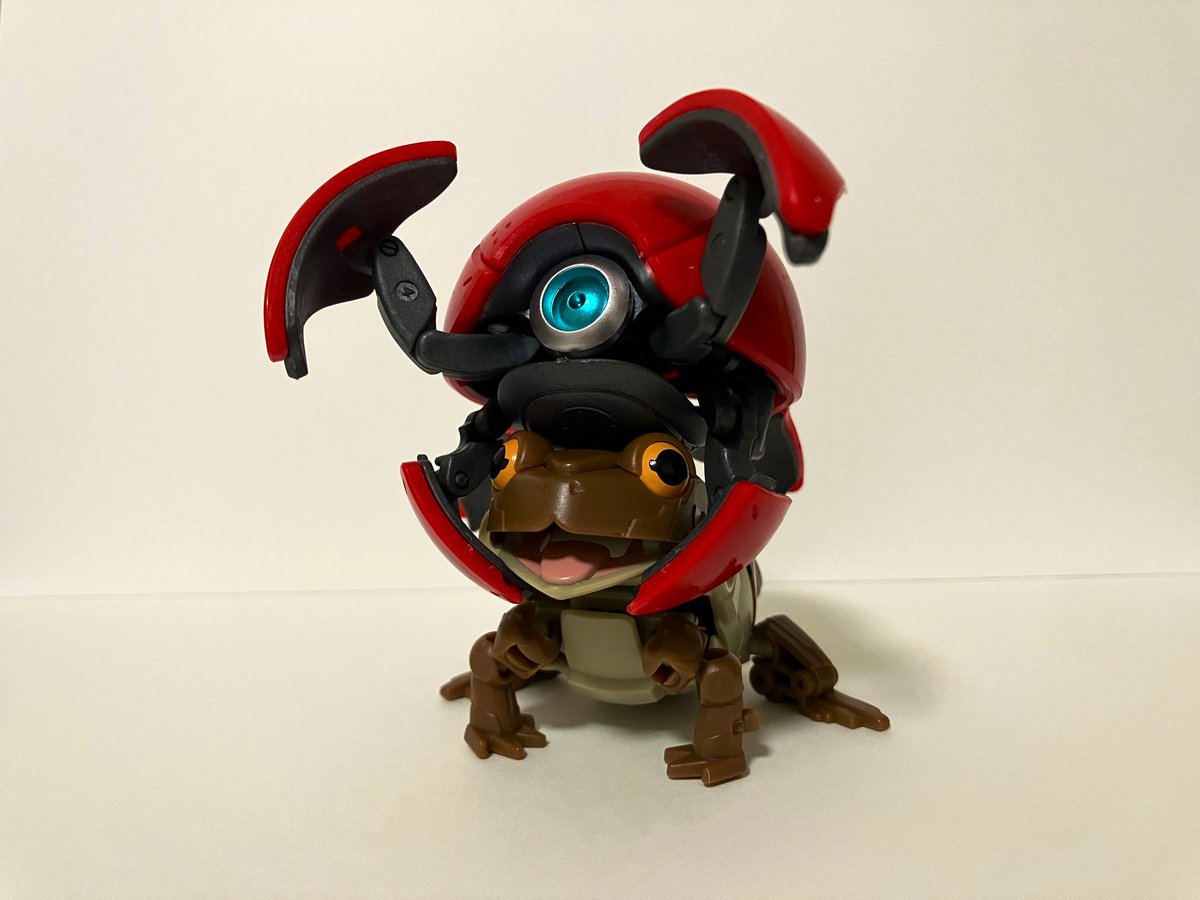 ワニャマル tweet media