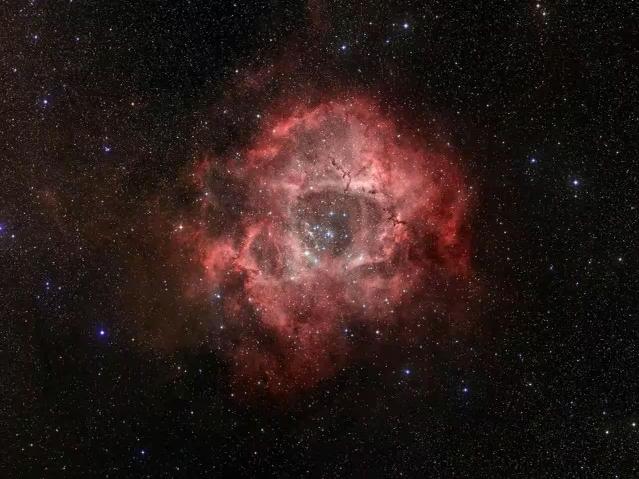 NASAAmes's tweet image. Forget the Valentine’s bouquet? 💐

Don’t worry, we’ve got you covered! Share these stellar flowers with someone who makes your heart bloom. 💓