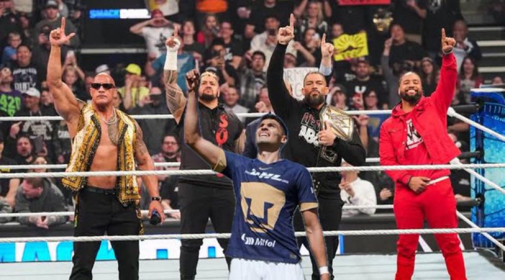 NotiGoya tweet media