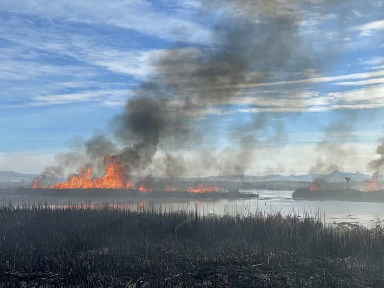 A look at the beautiful prescribed burn operation conducted in the Sterling Wildlife Management Area in Southwest Idaho this week. The BLM Idaho Falls Fire District and Idaho Fish and Game came to complete 160 acres of prescribed fire to help bolster habitat for mule deer,