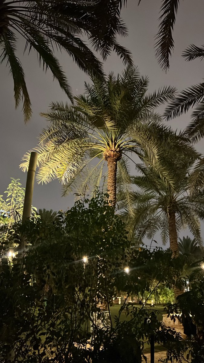 rsrs118's tweet photo. تعال القلب من بعدك ليّالي محدٍ زاره https://t.co/fpzFW9KyTn